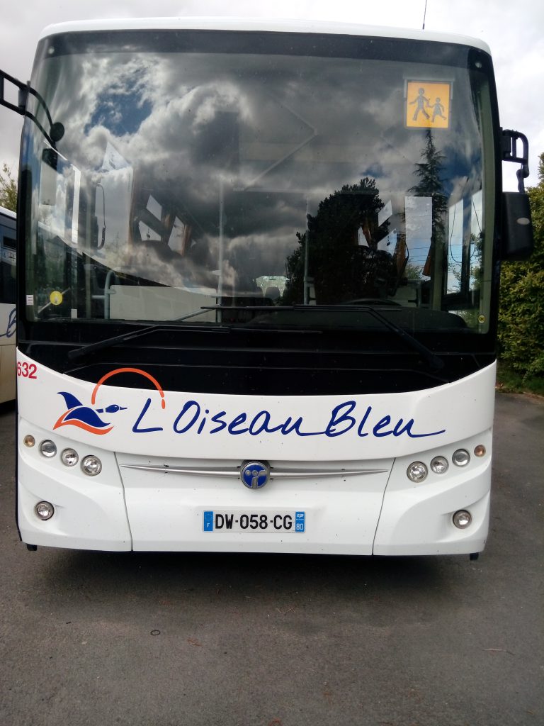 Oiseau bleu