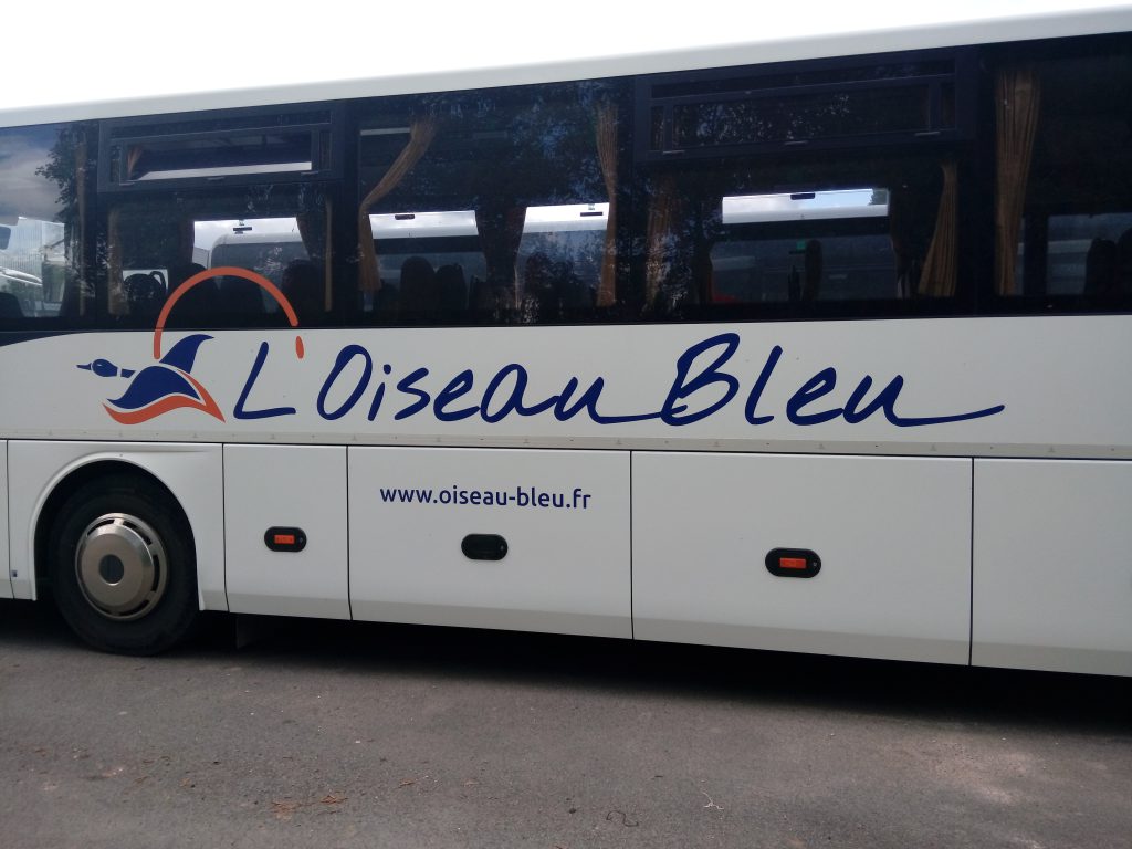 Bus
