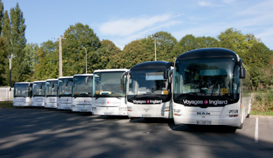 Bus